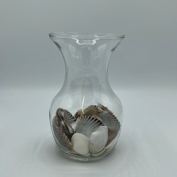 AUTHENTIC PACIFIC OCEAN SEASHELLS IN A CLEAR GLASS VASE - Picture 1 of 3